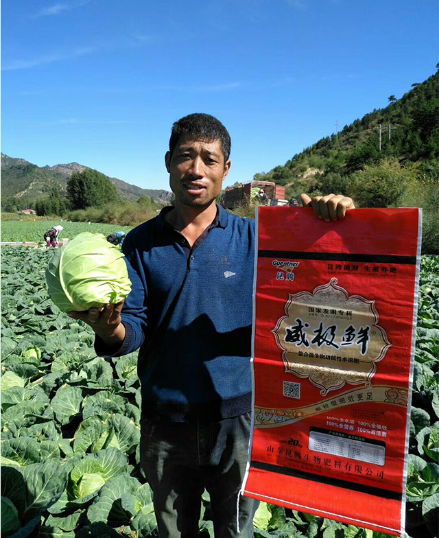 威極鮮一號(hào)種植戶反饋