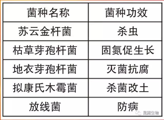 水溶肥 沖施肥 大中微量元素水溶肥