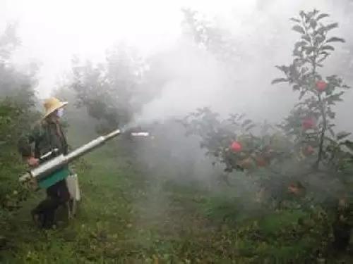 菌肥 生物菌肥 微生物菌肥