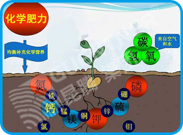 水溶肥 沖施肥 大中微量元素水溶肥