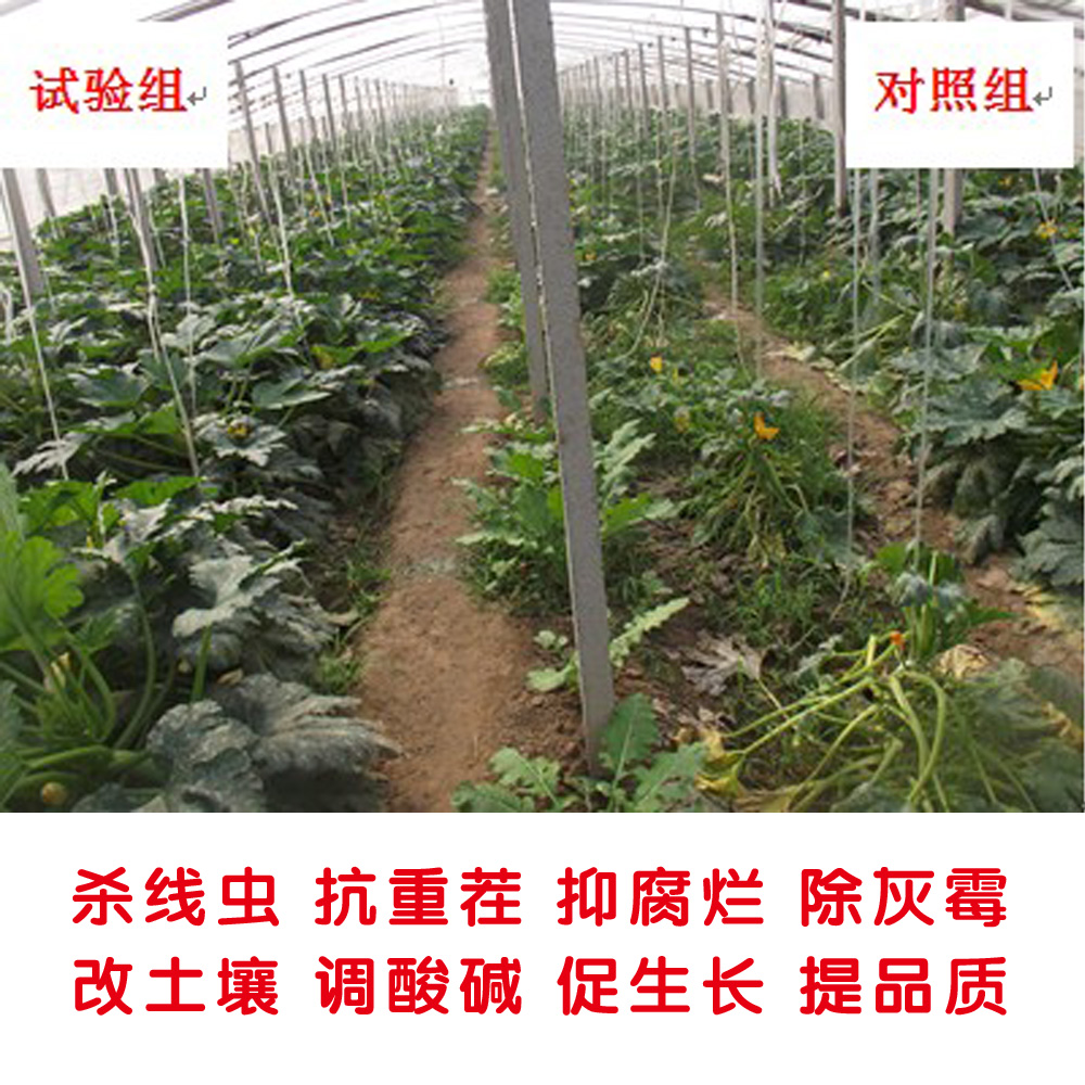 微生物有機菌肥 復合微生物菌劑 復合微生物菌肥