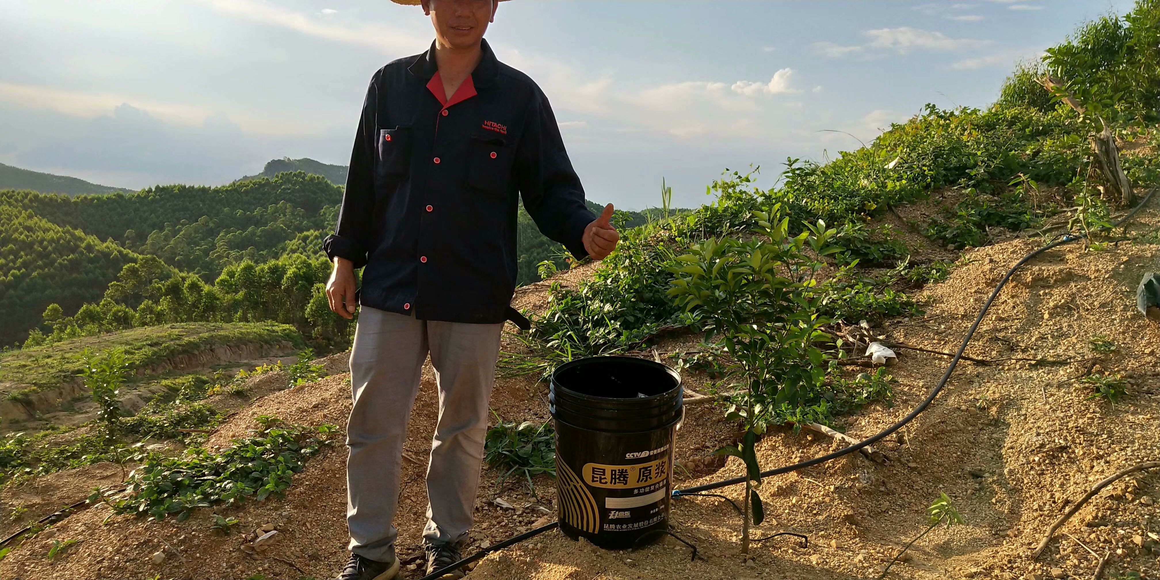 菌肥 微生物菌肥 微生物菌劑液體生物有機(jī)肥桶肥