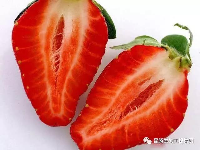 復(fù)合微生物菌肥廠家直銷