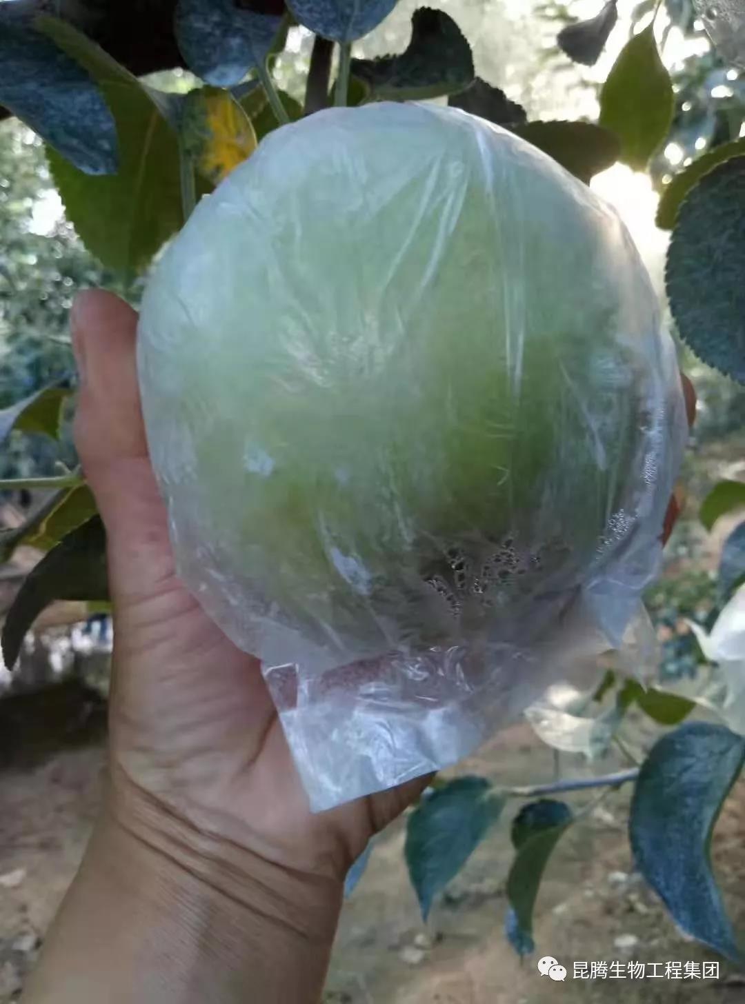 復合微生物菌劑水溶肥廠家直銷