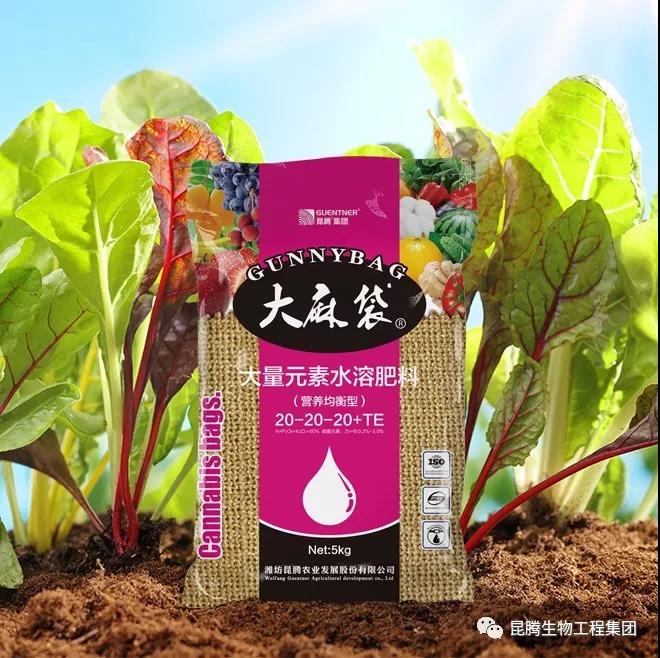 復(fù)合微生物菌劑廠家直銷