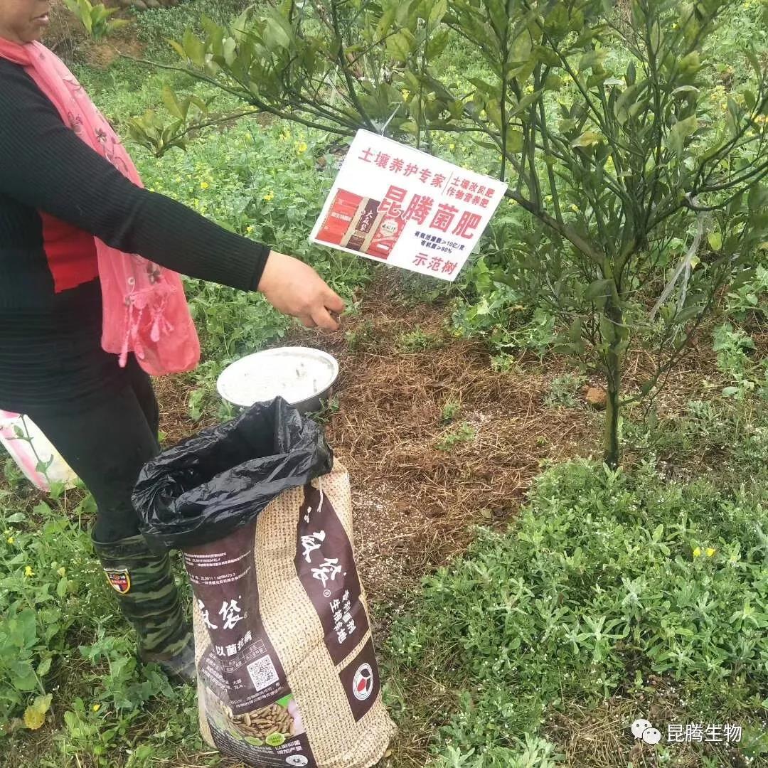 復(fù)合微生物菌劑廠家直銷